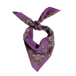Kleines Tuch -violet bandana